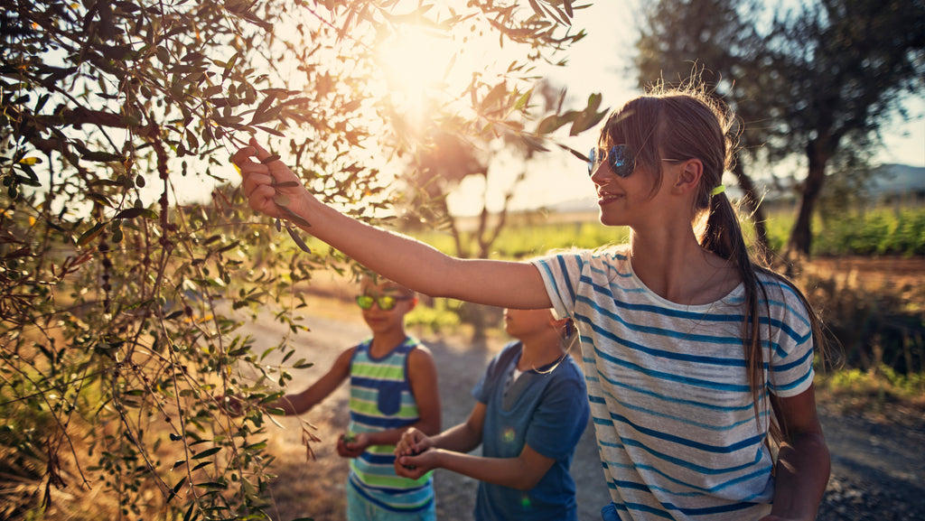 Tourists of All Ages Are Heading to Groves and Mills This Summer